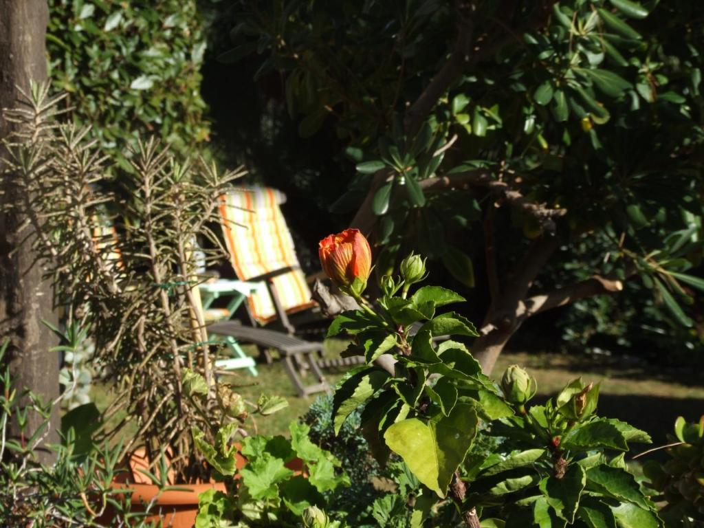 La Masa Hotel Eze Bagian luar foto